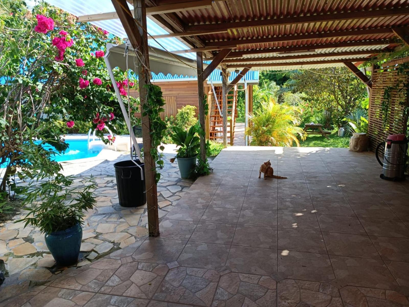 Les Gites Du Sud - O Naturel Gourbeyre Exterior foto