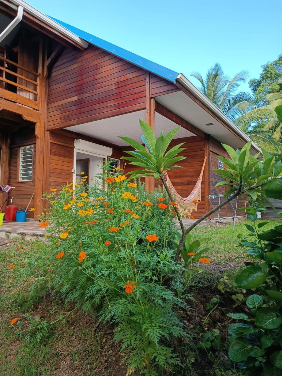 Les Gites Du Sud - O Naturel Gourbeyre Exterior foto
