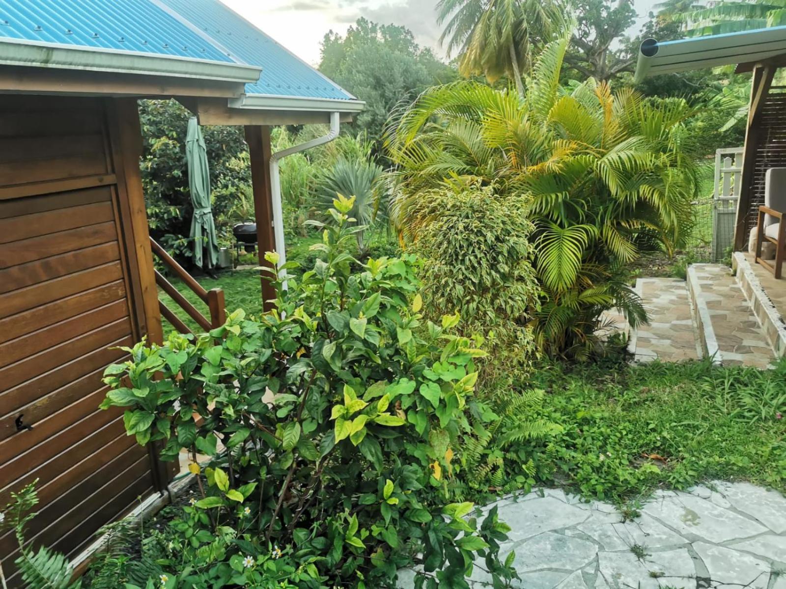 Les Gites Du Sud - O Naturel Gourbeyre Exterior foto